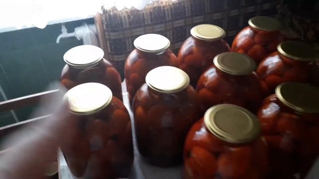 Помидоры на зиму. Простой рецепт вкусных помидоров на зиму, проверенный годами ???