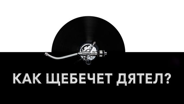 Как щебечет дятел? ? Звук щебечущего дятла и какие звуки издает дятел смотреть онлайн