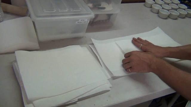 Poss. Anery Carpet Python and his first clutch- K Brothers Pythons ep.18 смотреть онлайн