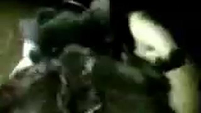 Котенок Ушастика получил от своей мамки смотреть онлайн