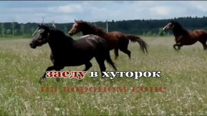 Дэ да рат калы Романо Караоке(Цыганское Караоке)