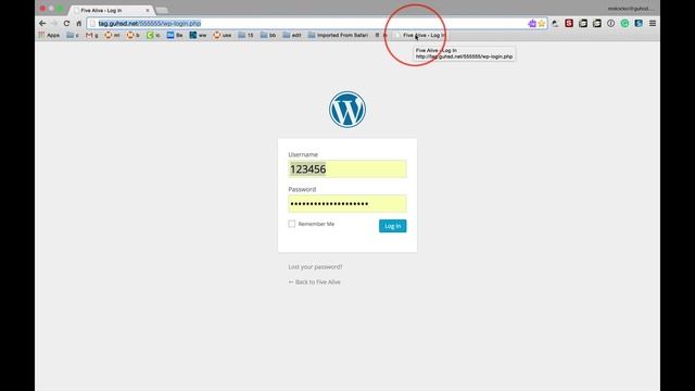 N2K: Your Blog: Login: wp-login.php смотреть онлайн