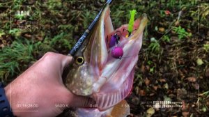 Ловля щуки на Мандулу поздней осенью. Малая река