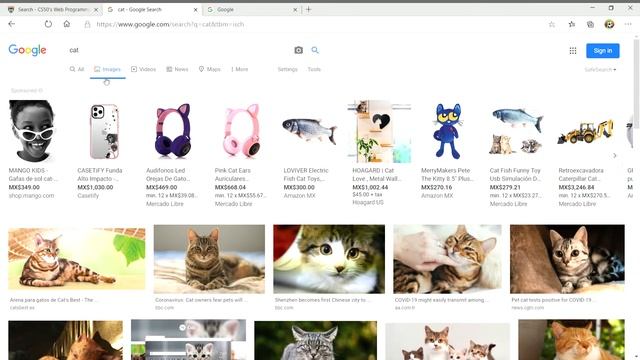 Search CS50's Web Programming with Python and JavaScript смотреть онлайн