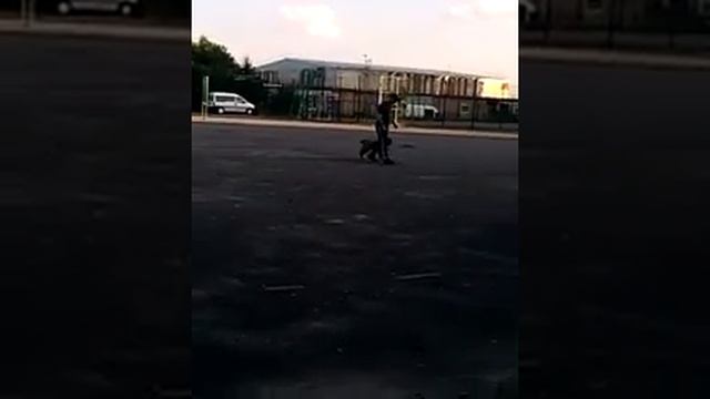 Сэм, шарпей, дрессировка смотреть онлайн