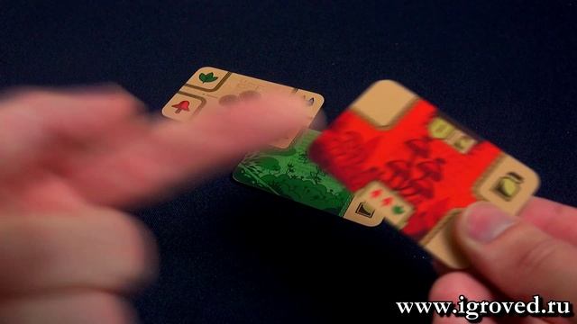 Кодекс природы. Обзор настольной игры от Игроведа смотреть онлайн