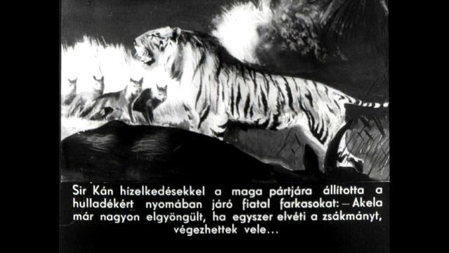 Диафильм Hun Maugli, A Farkasok Fia 1957
