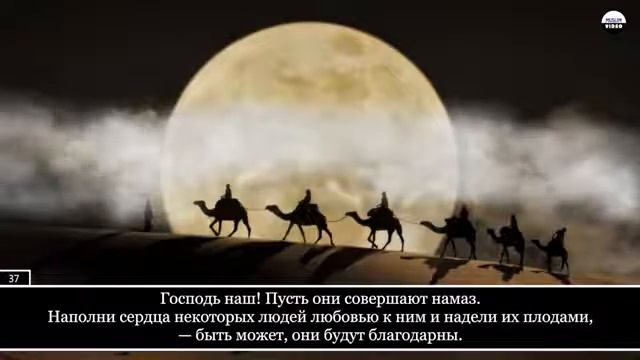 Чтец: Мехди аш-Шишани #коран смотреть онлайн