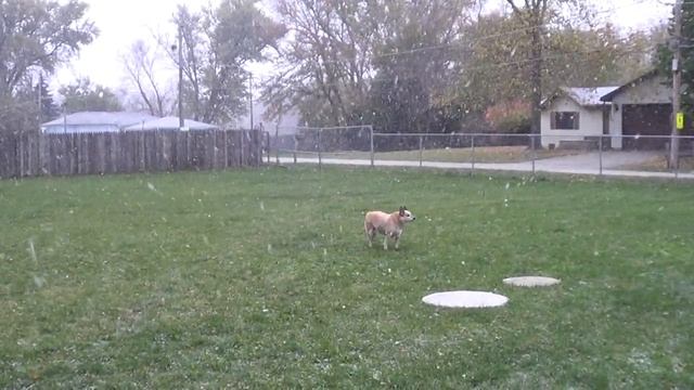 А вот вам и снег смотреть онлайн