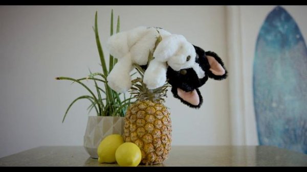 MY FUZZY FRIENDS WINKS & TUCKER TVC DK