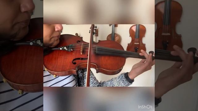Beautiful Antique French Medio Fino Violin 4/4 One Piece Back Sound Sample смотреть онлайн