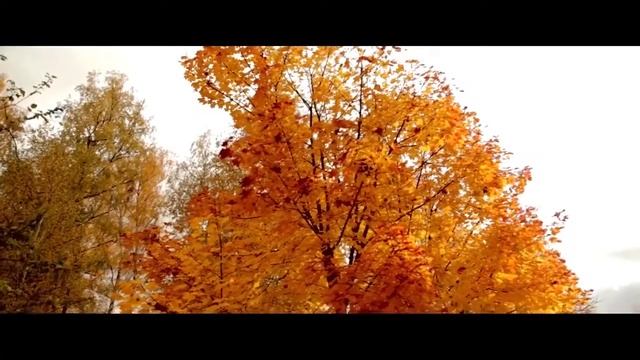 Песни моего Кума " Прощание с осенью" музыка для раздумий А.Вержиковский смотреть онлайн