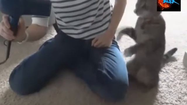 Необычный танцор - Unusual dancer смотреть онлайн