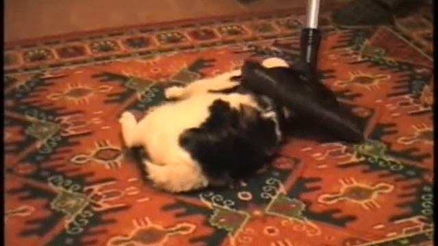 Шубу содержу в чистоте.mkv смотреть онлайн