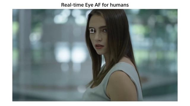 Sony A7 III Vs Sony A7 IV Full Comparison | कौन सा कैमरा ख़रीदे 2023?