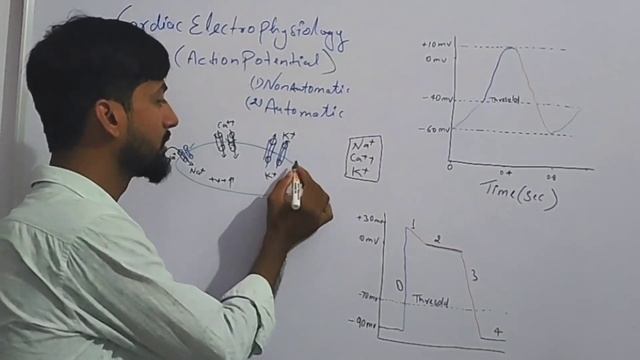 Action potential | Cardiac Electrophysiology| SA node Atrium| Automatic and nonautomatic cell смотреть онлайн