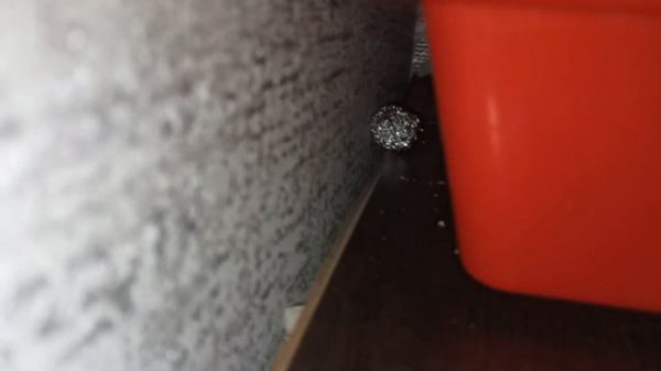 МЫШЬ ВОРУЕТ ЕДУ на ГЛАЗАХ