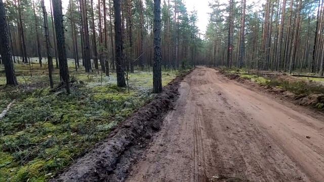 Карелия.В поисках шоколадных пупсиков.03-04.09.21 1 часть смотреть онлайн