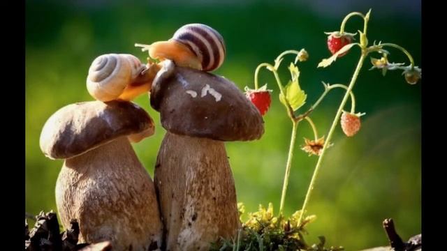 Мир в котором Я Живу! смотреть онлайн