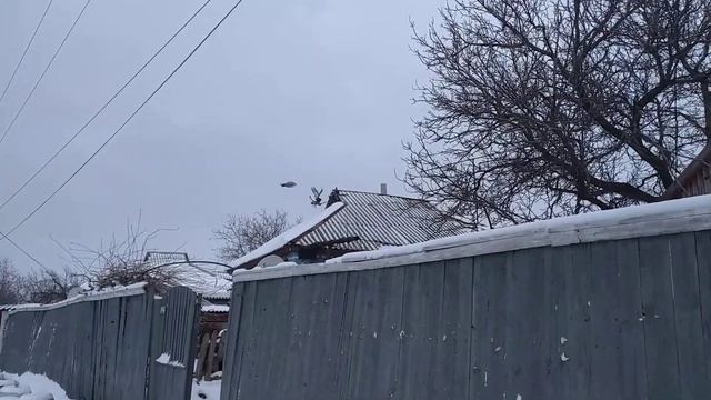 Николаевские голуби! Ещё есть любители голубей в небе. смотреть онлайн
