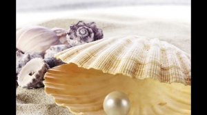 "Откуда берется жемчуг?''