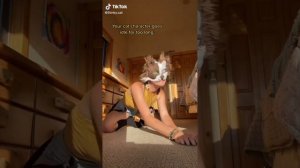 ⟦🍃 | Therian and quadrobics comp #2 | 🪶⟧