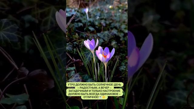 Всем хорошего настроения смотреть онлайн