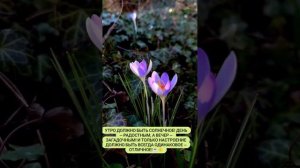 Всем хорошего настроения