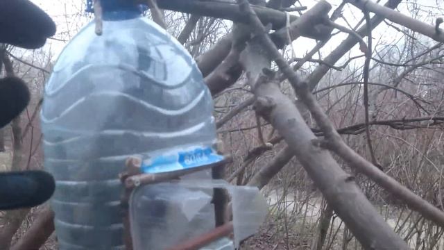 Живоловушка для белки в Покровско-Стрешнево смотреть онлайн