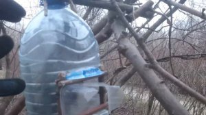 Живоловушка для белки в Покровско-Стрешнево