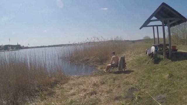 РЫБАЛКА на Рыбхозе. КАРП НА ЗАКИДУШКИ. ЩУКА в КАМЫШЕ. Хотово #4 смотреть онлайн