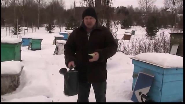 ПЧЁЛЫ ЗИМОЙ/КАК ПОИТЬ ПЧЁЛ смотреть онлайн
