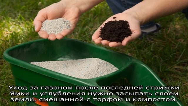 Покос газона: описание, правила и нормы смотреть онлайн