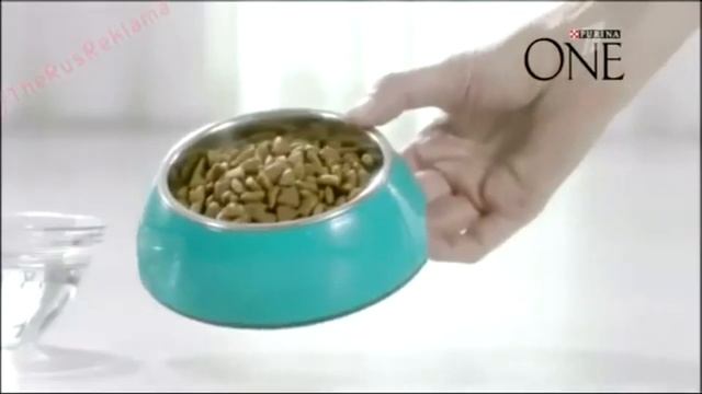 Прикол Purina One смотреть онлайн