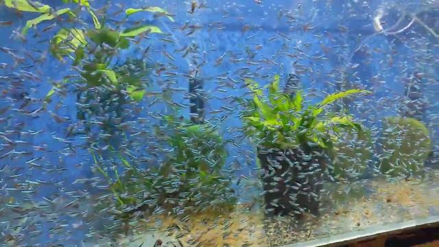 Немного подготовки. смотреть онлайн