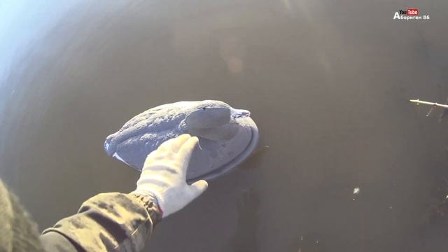 ЖИРНАЯ СЕВЕРНАЯ УТКА/ОКТЯБРЬ 2020/ПРОЛЕТ БОЛЬШОГО КРОХАЛЯ смотреть онлайн