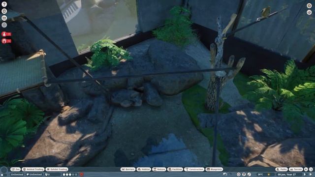 BEAUTIFUL Indoor Climbing Arena - Proboscis Monkey Planet Zoo Speedbuild ? смотреть онлайн