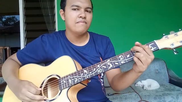 Review Gitar Cort VS Deviser L 710 смотреть онлайн