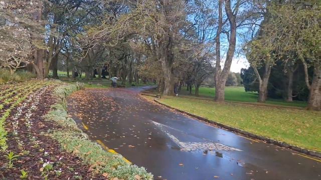 🇺🇦 🇳🇿 Cornwall Park 1 часть смотреть онлайн