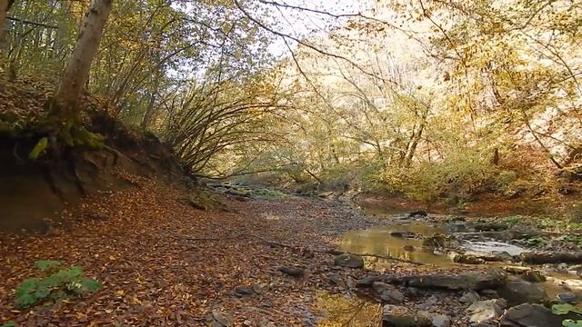 рыбалка на чернопуза смотреть онлайн