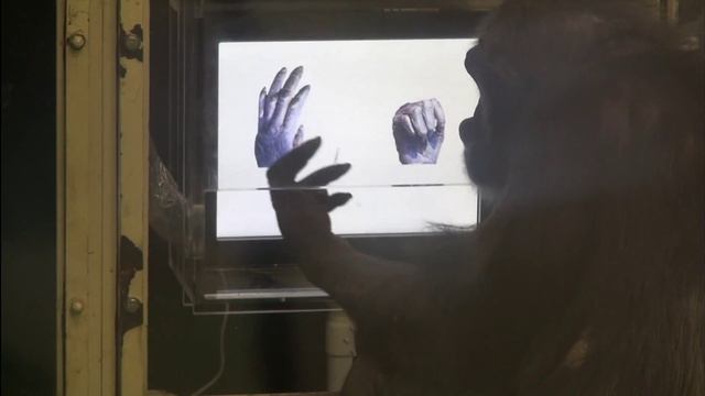 Rock-paper-scissors game смотреть онлайн