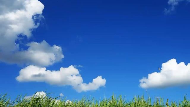 Обсуждение "Спящая красавица или полки со знамёнами". А.Ильиных смотреть онлайн