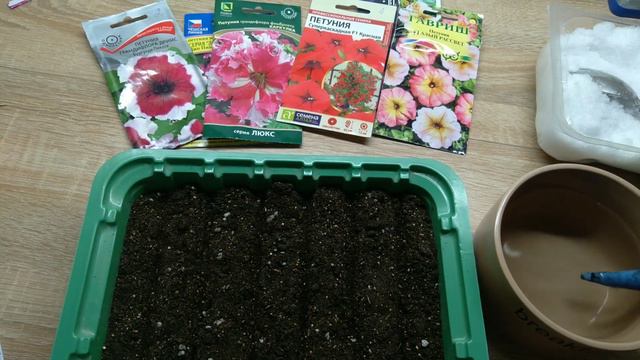 Как посеять петунии? смотреть онлайн