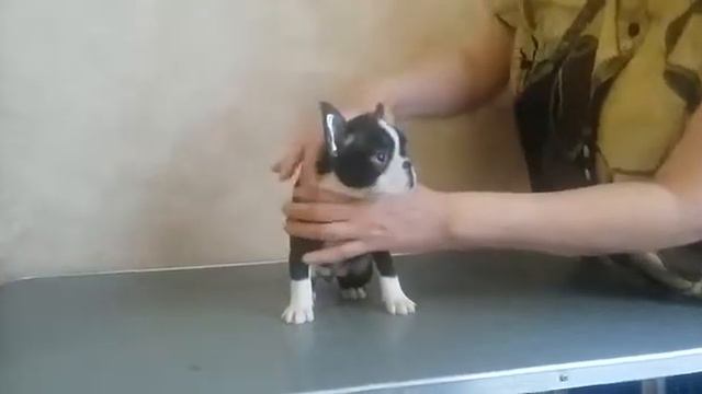 VID 20180529 WA0002