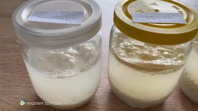 40 дней мы проверяли влияние на воду молитв и разных слов смотреть онлайн