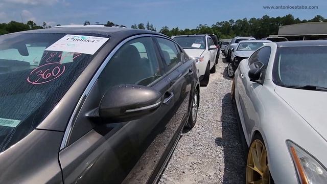 El reto de rebildear autos baratos смотреть онлайн