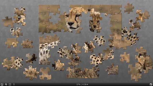 PUZZLE MANIA! CUTE LEOPARD PUZZLE GAME смотреть онлайн