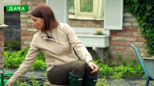 УХОД ЗА КЛУБНИКОЙ ВЕСНОЙ - что нужно сделать для хорошего урожая