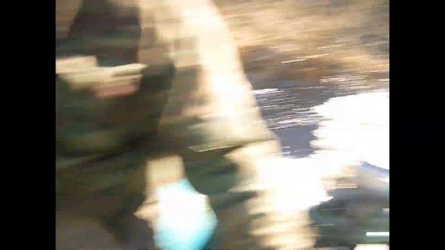 Лес.Гусь. Тайга.Отдых. 2010 год. смотреть онлайн