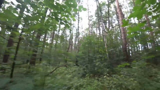 Тестирую гаффы/рублю чагу! Гаффы своими руками ! Гаффы своими руками. смотреть онлайн